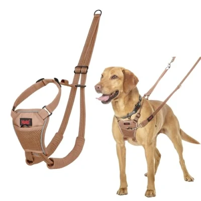 Imagen de Arnés anti tirones HALTI para evitar que tu perro tire de la correa, Ajustable, Ligero y Fácil Usar. Reflexiva Adiestramiento canino perros medianos (Talla M, Arena del Desierto)