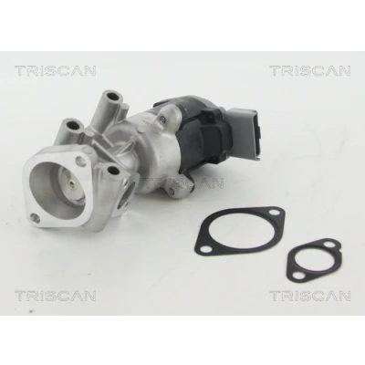Imagen de TRISCAN 8813 10009 Válvula EGR eléctrico con juntas PEUGEOT: 407 Berlina, SW, Coupé, CITROËN: C5 3, C6 LAND ROVER: Discovery 3