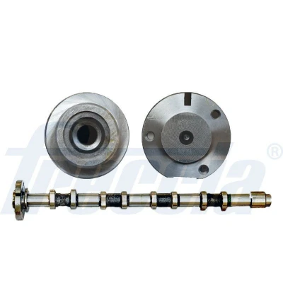 Imagen de FRECCIA CM05 2289 Árbol de Levas Lado admisión FORD: MONDEO 4 Stufenheck, Turnier,