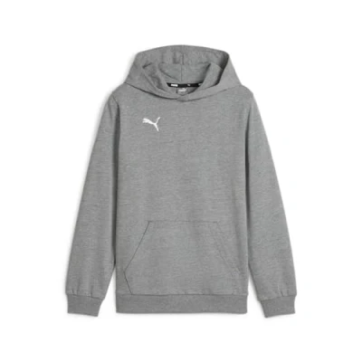 Imagen de Sudadera con capucha infantil Puma teamGoal
