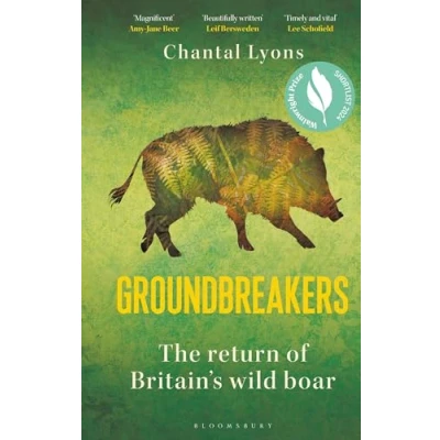 Imagen de Groundbreakers