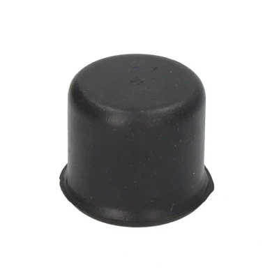 Imagen de Tapa SASIC 2450160