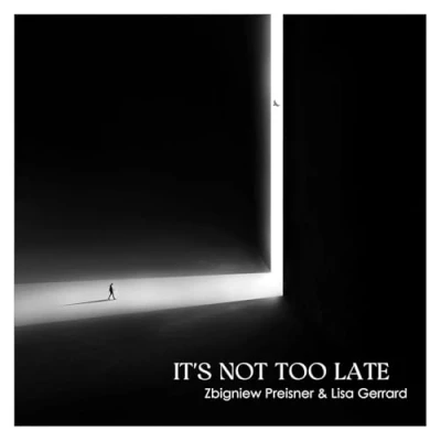 Imagen de It&#039;s Not Too Late Vinilo Lisa Gerrard