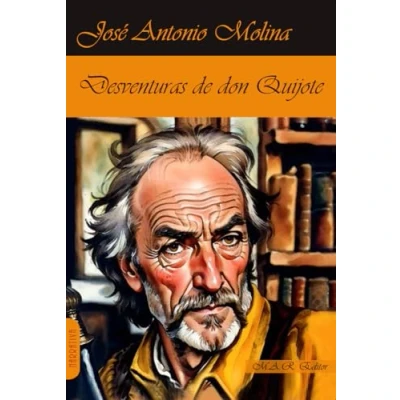 Imagen de DESVENTURAS DE DON QUIJOTE (NARRATIVA)