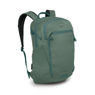 Imagen de Astronova Pine Leaf Green OS