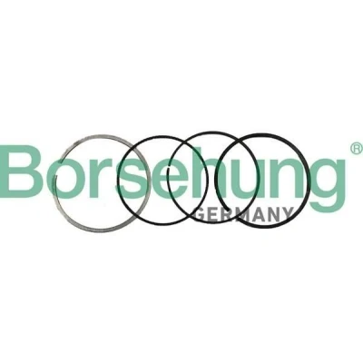 Imagen de Juego de segmentos del pistón Borsehung B10370