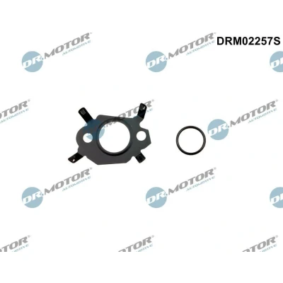 Imagen de DR.MOTOR AUTOMOTIVE DRM02257S Juego de juntas, sistema EGR CITROËN: Jumper II Furgón, C4 Grand Picasso 2, FORD: Mondeo 5, S Max Mk2, PEUGEOT: 5008 I