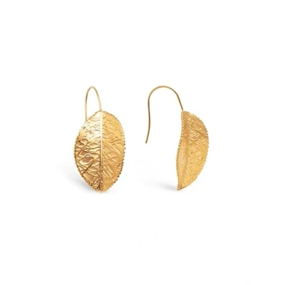 Imagen de Singularu Plated Pendientes, Mujer, Talla: One Size, Gold
