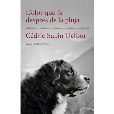 Imagen de L&#039;olor Que Fa Despres De La Pluja: 50 (Ficció)