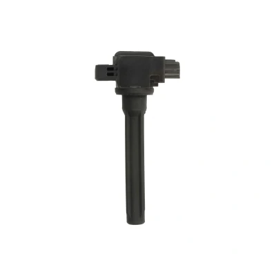 Imagen de DELPHI GN10983 12B1 Bobina de encendido 3 12