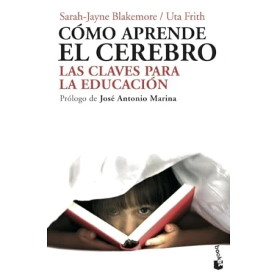 Imagen de Cómo aprende el cerebro: Las claves para la educación (Divulgación)