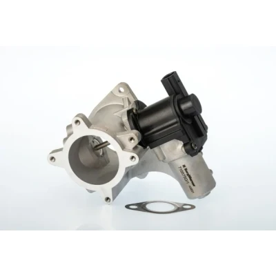 Imagen de WAHLER 710575D Válvula EGR eléctrico con juntas VOLKSWAGEN: Transporter 5, Multivan 5 (7HM, Bus