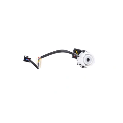 Imagen de FEBI BILSTEIN 38638 Interruptor de encendido/arranque VOLKSWAGEN: Golf 5, Touran I, Scirocco III, AUDI: A3 Sportback, Hatchback norauto, oscaro,