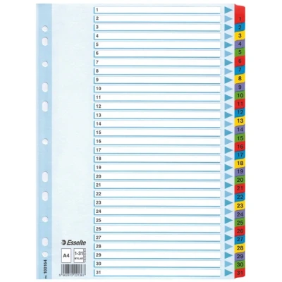 Imagen de ESSELTE 100164 Indice para carpetas multitaladro cartón MYLAR DIN A4 con cartulina índice color 1 31 multicolor