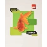 Imagen de Animals. 3º Primary Natural Science Learn Together 2020
