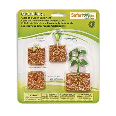 Imagen de Safari Ltd. Safariology Life Cycle Series Ciclo de vida una planta judía verde Figura juguete para niños y niñas A partir 3 años