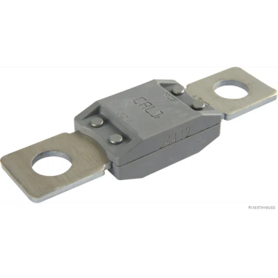 Imagen de Fusible HERTH+BUSS ELPARTS 50295841