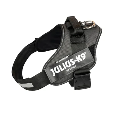 Imagen de Arnés IDC Power, Tamaño: 1/L, 2TON (Negro Gris)
