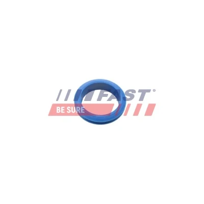 Imagen de FAST FT48955 Junta, varilla de aceite