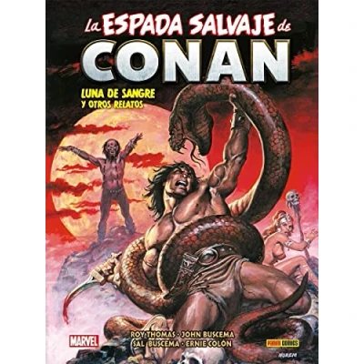 Imagen de BIBLIOTECA CONAN LA ESPADA SALVAJE DE N.14