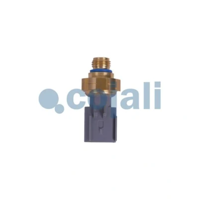 Imagen de Sensor de vacío COJALI 2262035COJ