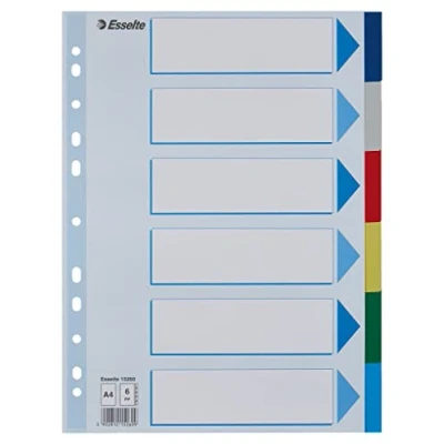 Imagen de Leitz Esselte 15260 Lengüeta de índice (polipropileno, A4, simple), multicolor