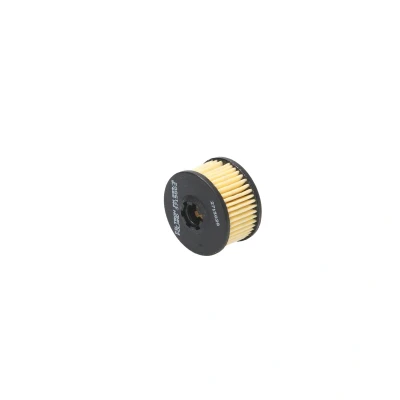 Imagen de Filtro combustible FILTRON PM999/6 VALTEK