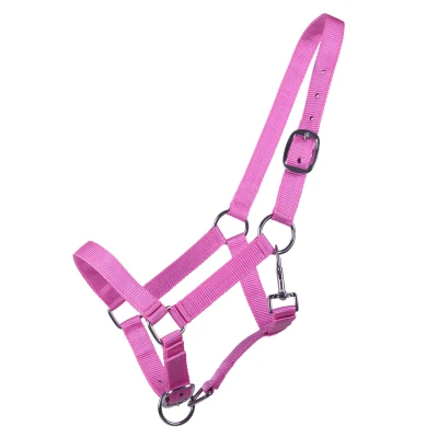 Imagen de Q essentials Halter Yearling