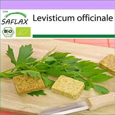 Imagen de SAFLAX Ecológico Apio de monte o levístico 100 semillas Levisticum officinale