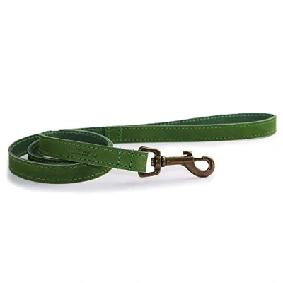 Imagen de Ancol Timberwolf Correa de Piel (1 x 19 mm), Color Verde