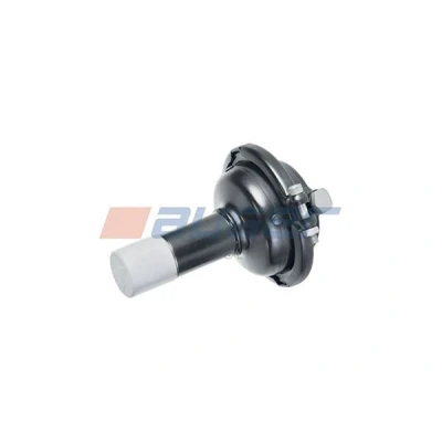 Imagen de AUGER 21168 Cilindro de freno membrana