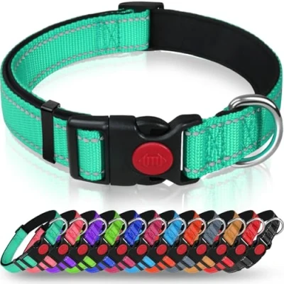 Imagen de Taglory Collar Perro, Nylon Reflectante Neopreno Forrado Ajustable para Perros Cachorro, Turquesa