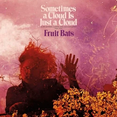 Imagen de Sometimes A Cloud Is Just Cloud: Slow Growers, Sleeper Hits And Lost Songs (2001 2021) [Vinilo]