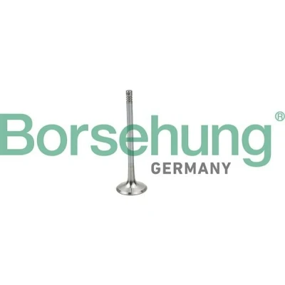 Imagen de Borsehung B19025 Válvula de Admisión SEAT: Leon I Hatchback, Ibiza 2, 3, VOLKSWAGEN: Polo IV Bora Berlina, Golf 4, AUDI: A3 Hatchback