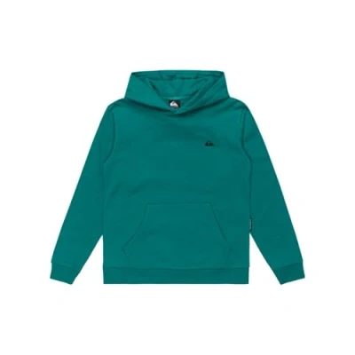Imagen de Quiksilver Basic Hoodie Jersey de Forro Polar Niño
