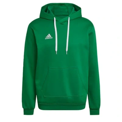 Imagen de adidas Performance Entrada 22 Sweat Jersey con capucha, Hombre, Talla: 3XL, Team green/white
