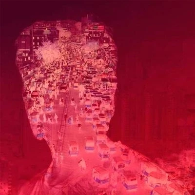 Imagen de Voices (2LP) [Vinilo]