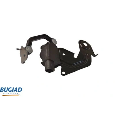 Imagen de BUGIAD 88613 Manguera Turbo FORD: Transit Mk6 Furgón, Camión de plataforma/Chasis, V363 Bus