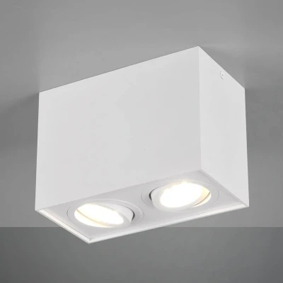 Imagen de Trio Leuchten Biscuit 613000231 Lámpara de techo (metal, 2 bombillas GU10), color blanco mate