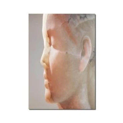 Imagen de Jaume Plensa: Inner Matter / Materia Interior