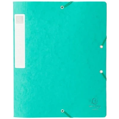 Imagen de Exacompta 14003H Carpeta de proyecto con goma, color verde, 1 unidad