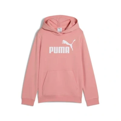 Imagen de Sudadera con capucha ESS logotipo n.º 1 juvenil