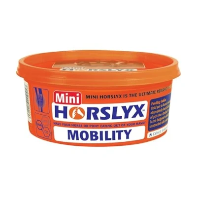 Imagen de Masa para Fugas «Horslyx».