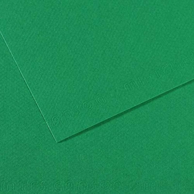 Imagen de Canson Mi Teintes Papel de Color Pulpa Teñida, 160 g/m2, Verde (Vidrian 575), 29,7x57, Pack 10