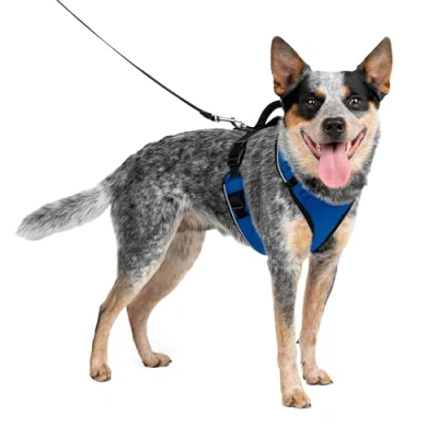 Imagen de PetSafe EasySport Arnés para Perros Acolchado Ajustable con Asa de Control y Cinta Reflectante Azul Mediano, M