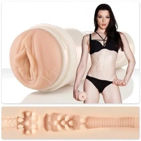 Imagen de Masturbador con vagina de Fleshlight destroya stoya