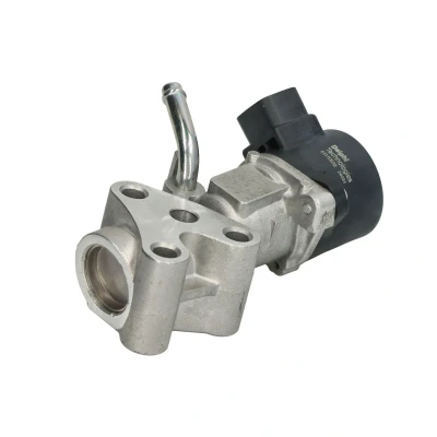 Imagen de DELPHI EG10532 12B1 Válvula EGR eléctrico