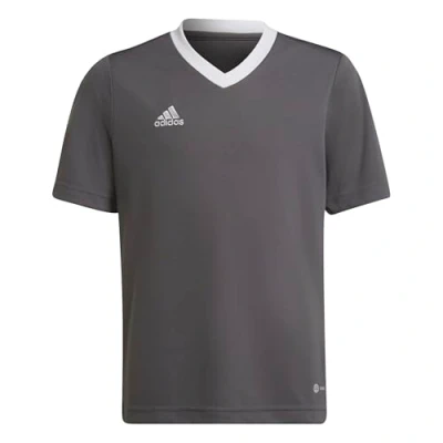 Imagen de adidas Performance Entrada 22 Camiseta de fútbol para niños, Talla: 5 6a, Grey