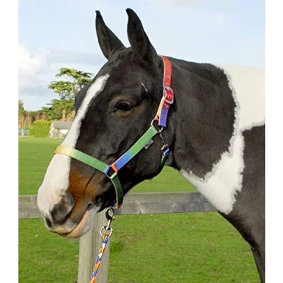 Imagen de Rhinegold 330 C Rainbow Collar y Cuerda a Juego, Arco Iris, COB