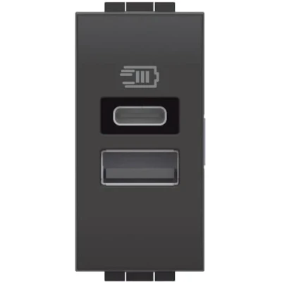 Imagen de Bticino L4191AC Cargador USB con Dos entradas Tipo A E C, para Instalar en la Placa Livinglight, Cargar un Dispositivo electrónico de hasta 15 W o Dispositivos Conjuntos, 1 módulo,
